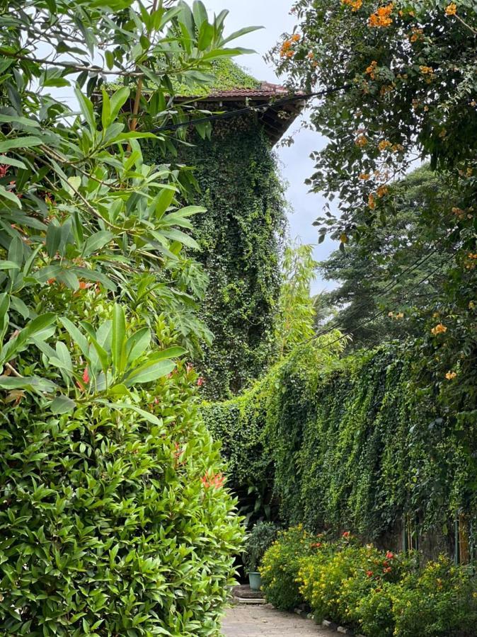 Udf Nature Villa Kandy Ngoại thất bức ảnh