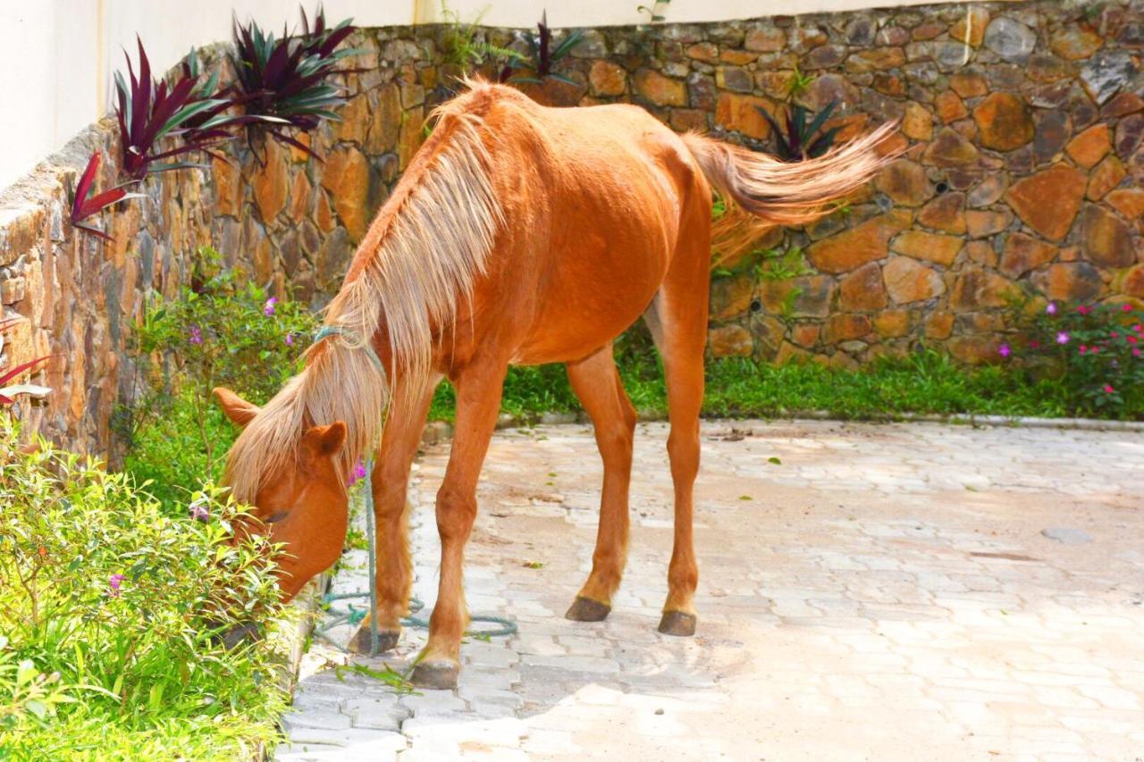 Udf Nature Villa Kandy Ngoại thất bức ảnh